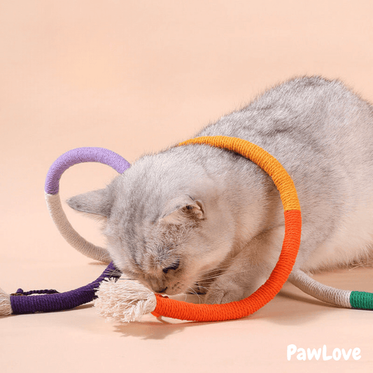 Interactive Chewing Rope with  Natural Gall Fruit