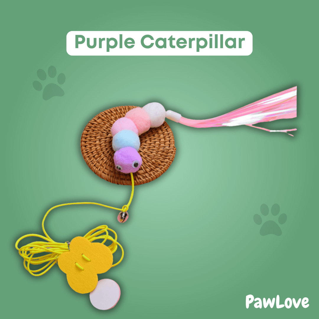 PawLove™ - Interactive hunting toy