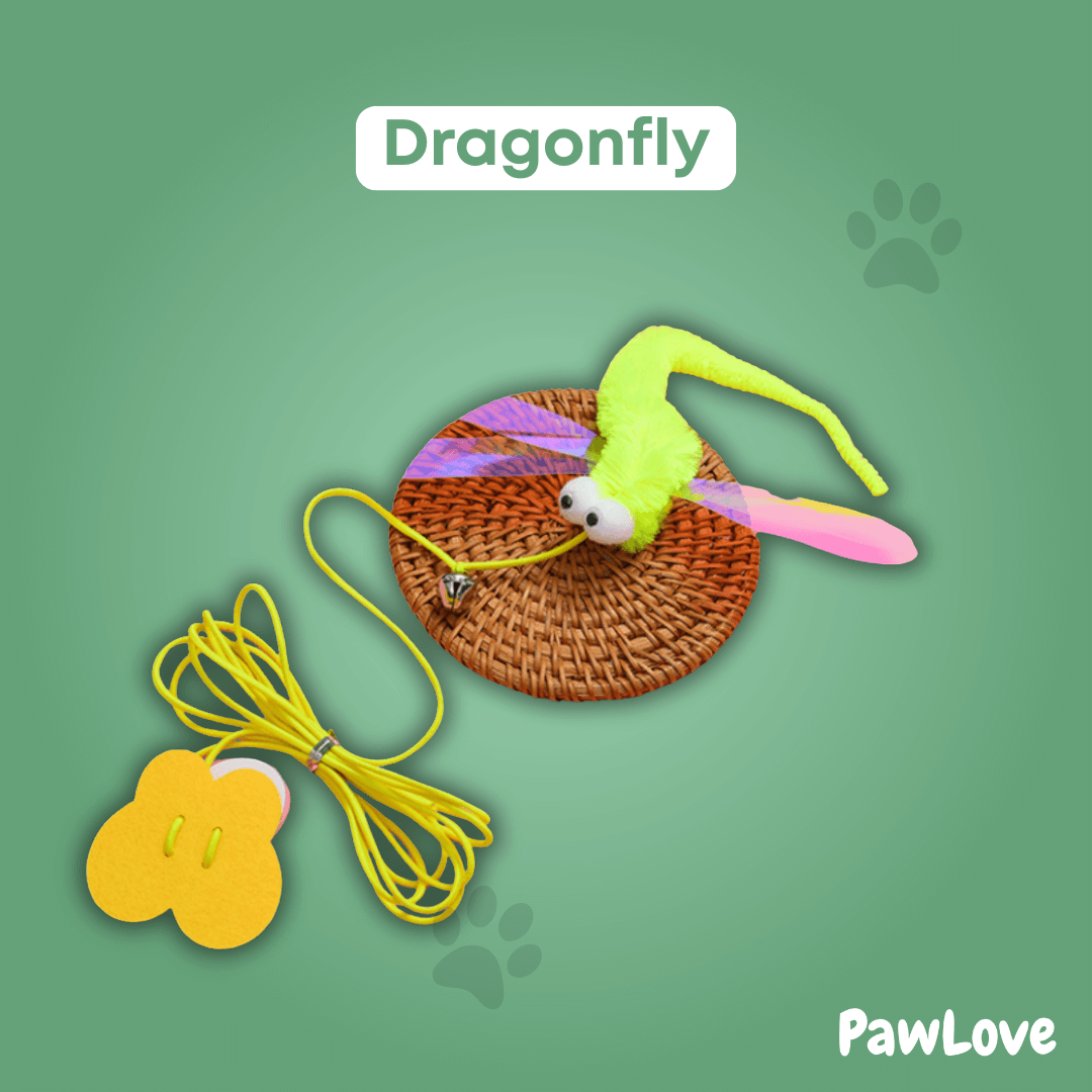 PawLove™ - Interactive hunting toy