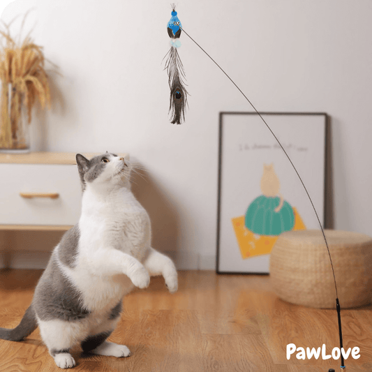PawLove™ - Interactive Bird Simulation