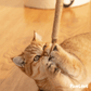 PawLove™ - Kitty Dental Chew Stick No end of fun!