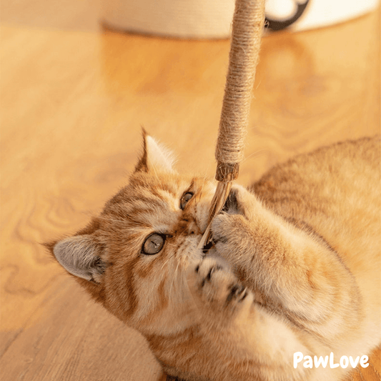 PawLove™ - Kitty Dental Chew Stick No end of fun!