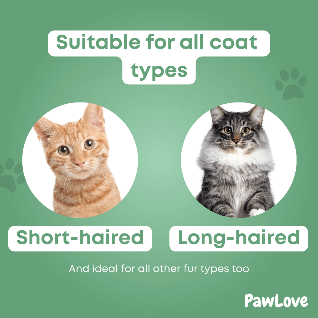 PawLove™ - Steam brush for cats and dogs
