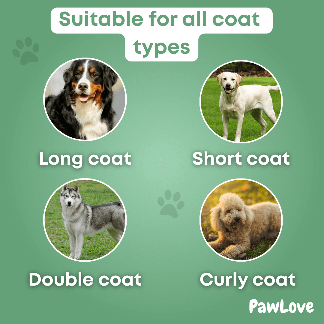Paw Love™ - Magic Fur Brush