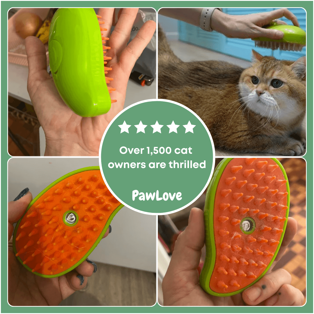 PawLove™ - Steam brush for cats and dogs