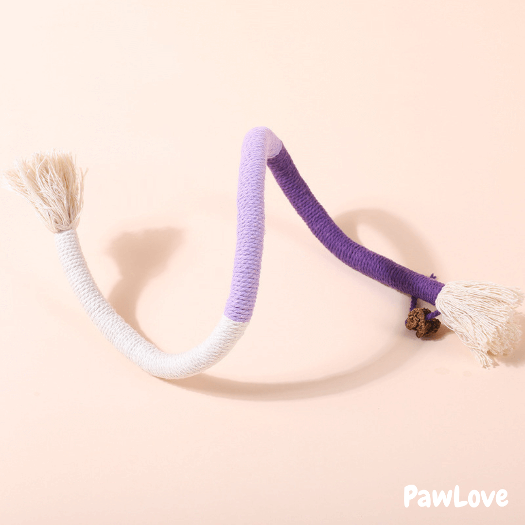 Interactive Chewing Rope with  Natural Gall Fruit