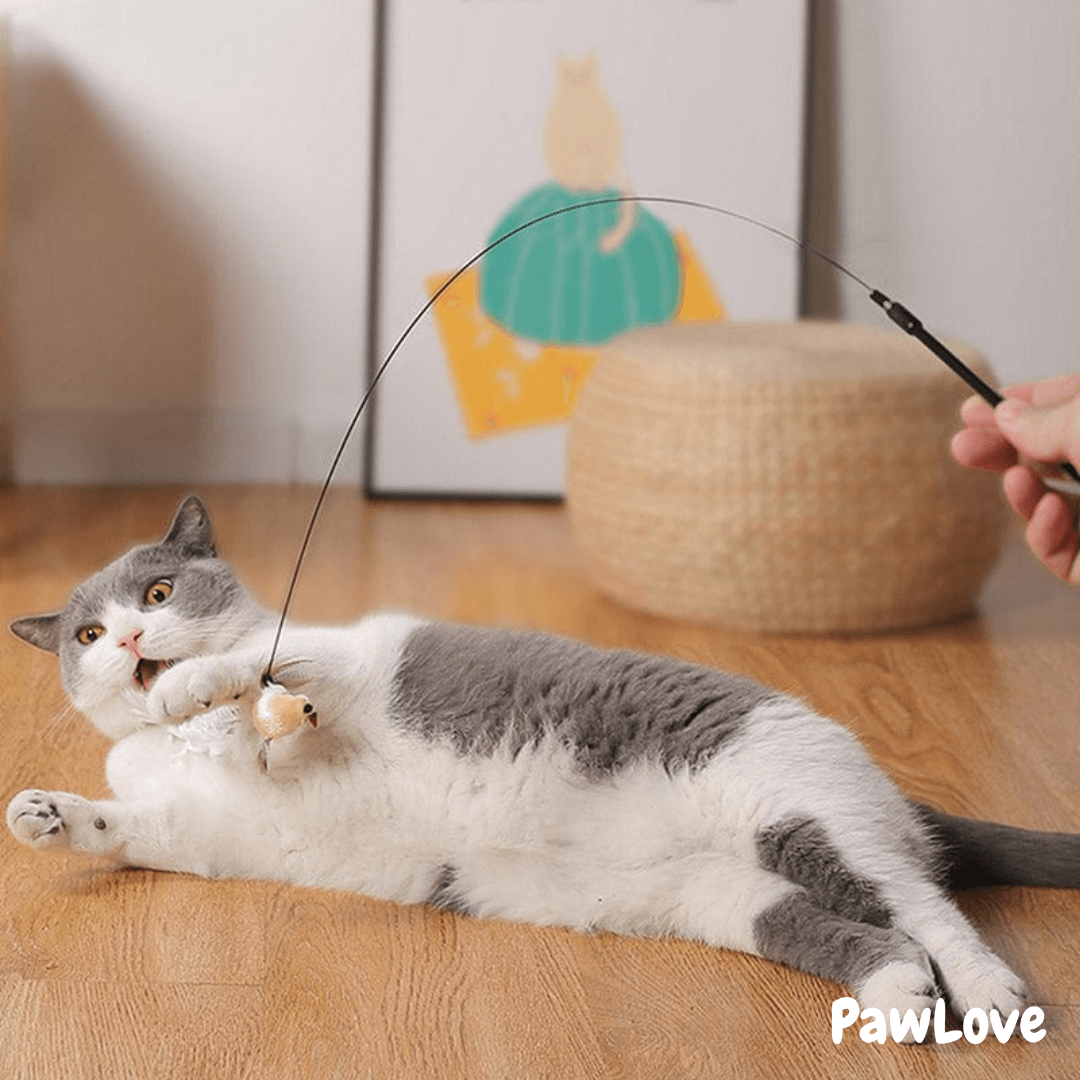 PawLove™ - Interactive Bird Simulation
