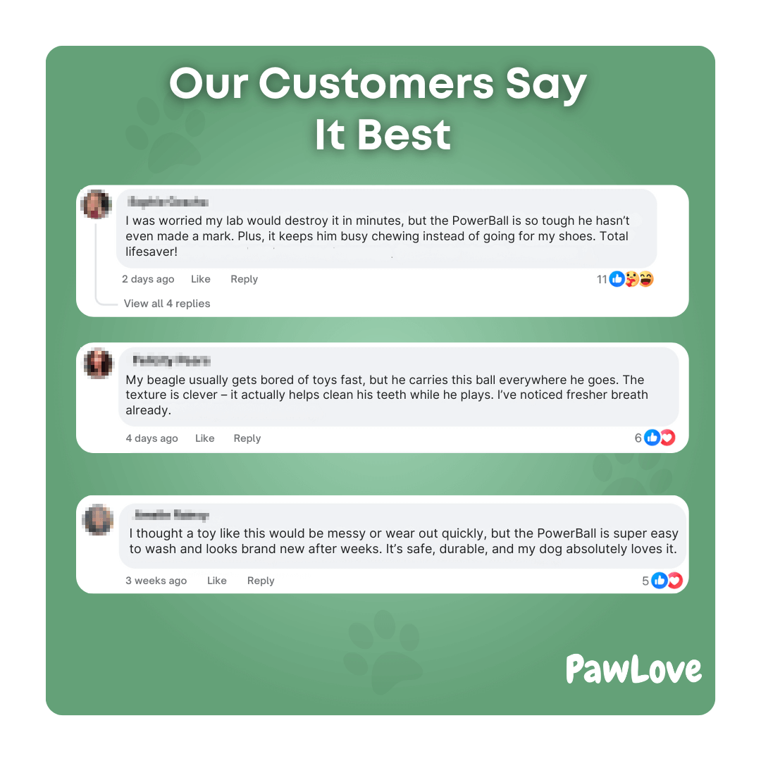 PawLove™ - PowerBall