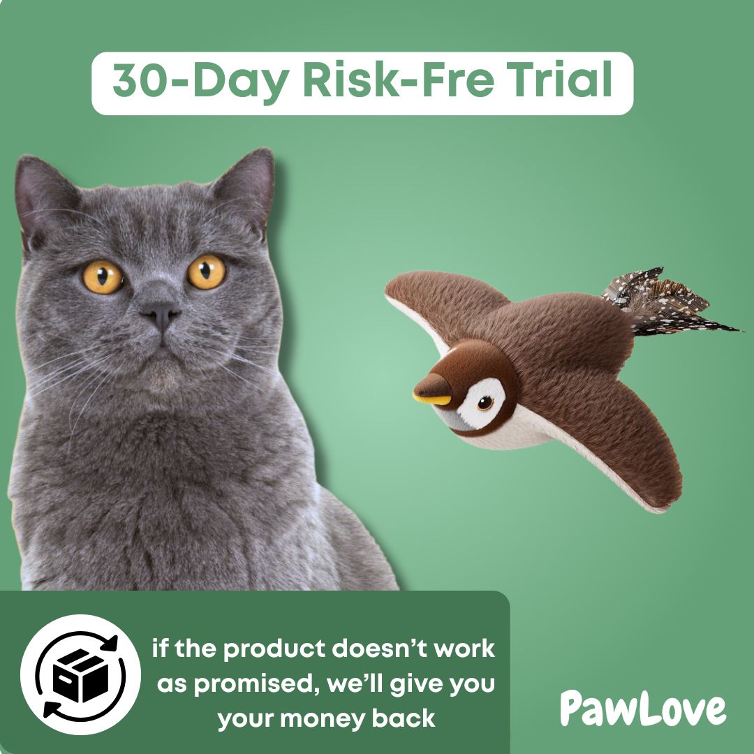PawLove™ - Birdie Chase Toy