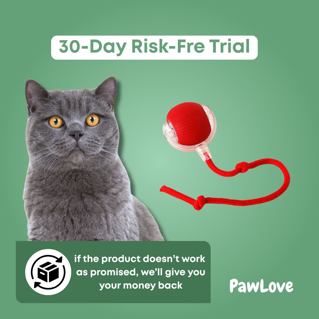PawLove™ - Interactive Cat Ball with Tail