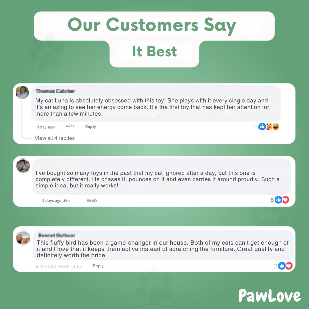 PawLove™ - Birdie Chase Toy