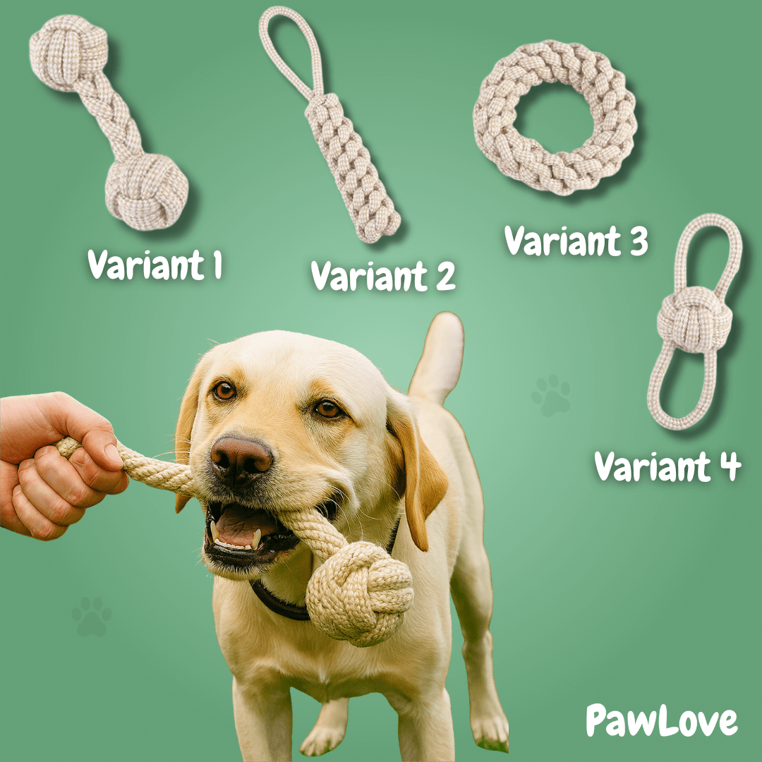 Indestructible Rope Toy