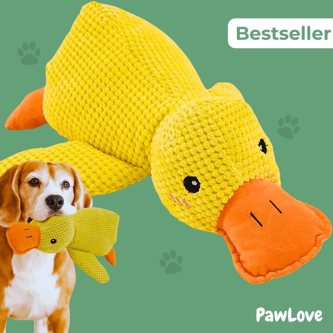 Paw Love™ - Calming Duck.