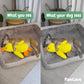 Paw Love™ - Calming Duck